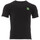 Vêtements Homme T-shirts Linear & Polos Sergio Tacchini ST-103.20039 Vert