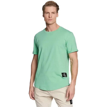 Vêtements Homme T-shirts manches courtes Calvin Klein Jeans Organic badge Vert