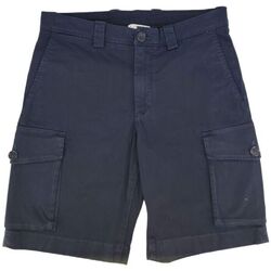 Vêtements Homme Shorts / Bermudas Woolrich Shorts Classic Cargo Homme Melton Blue Bleu