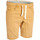 Vêtements Homme Shorts / Bermudas Pullin Short  DENING SHORT EPIC 2 FOIL Orange