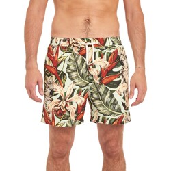 Vêtements Homme Shorts / Bermudas Pullin Short  PAKO BOTANIK MULTICOLORE