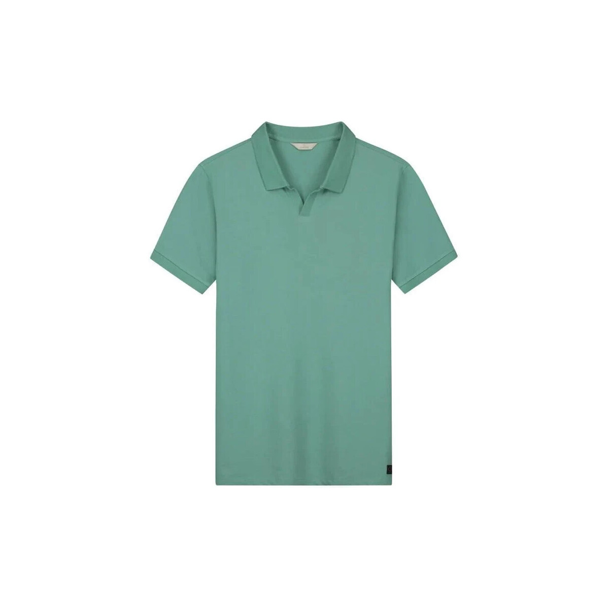 Vêtements Homme T-shirts & Polos Dstrezzed Polo Bowie Vert Vert