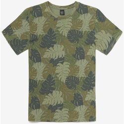 Vêtements Homme T-shirts Junior & Polos Le Temps des Cerises T-shirt jung à motif jungle kaki Vert