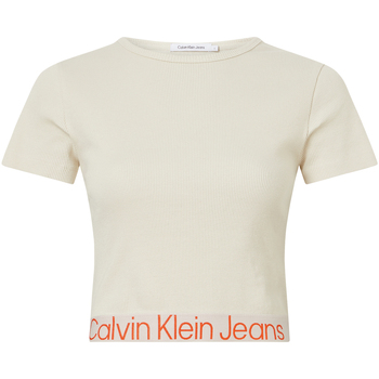 Vêtements Homme T-shirts manches longues Calvin Klein Jeans T-shirt coton col rond Multicolore