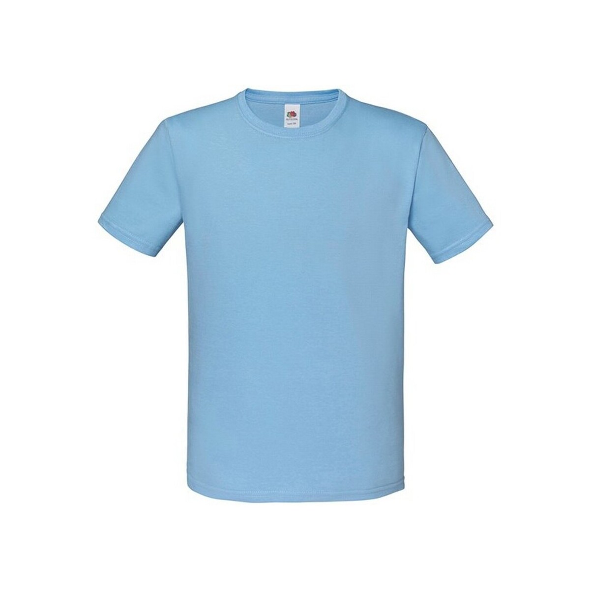 Vêtements Enfant T-shirts manches courtes Fruit Of The Loom Iconic 150 Bleu