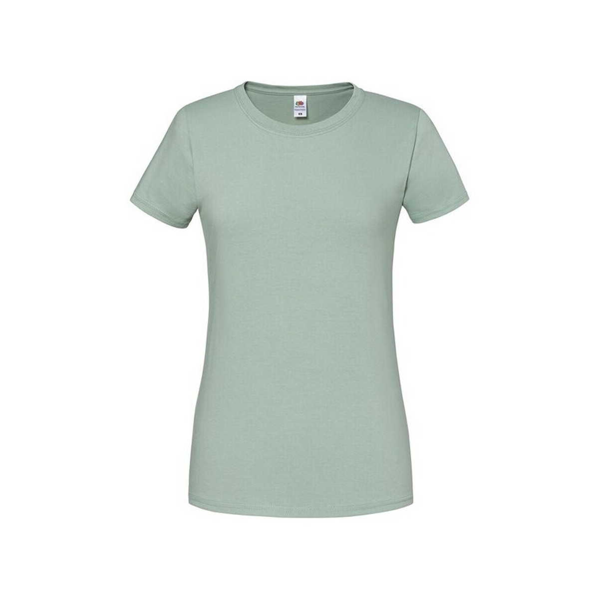 Vêtements Femme T-shirts manches longues Fruit Of The Loom Premium Vert