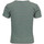 Vêtements Fille T-shirts manches courtes Kids Only 15253111 Vert