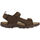 Chaussures Homme Tongs Gioseppo ERICO Marron