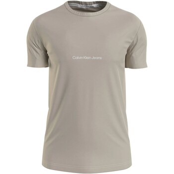 Vêtements Homme T-shirts manches courtes Calvin Klein Jeans J30J322848 Beige