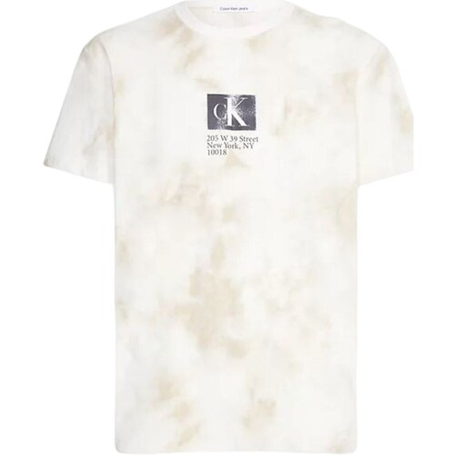 Vêtements Homme T-shirts manches courtes Calvin Klein Jeans J30J323301 Autres