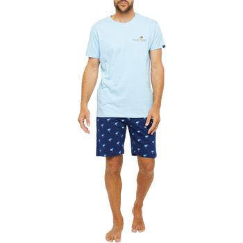 Vêtements Homme Pyjamas / Chemises de nuit Arthur Pyjama coton court Bleu