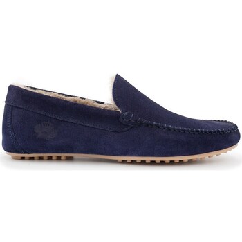 Chaussures Homme Chaussons Finsbury Shoes Homs Bleu