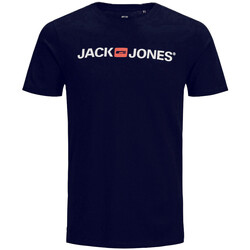 Vêtements Garçon T-shirts manches courtes Jack & Jones 12203491 Bleu