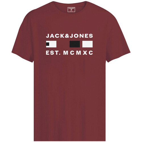 Vêtements Garçon T-shirts manches courtes Jack & Jones 12226496 Rouge