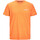 Vêtements Garçon T-shirts & Polos Jack & Jones 12237337 Orange