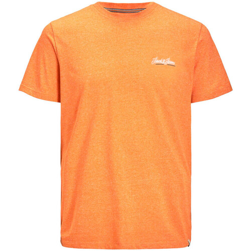 Vêtements Garçon T-shirts manches courtes Jack & Jones 12237337 Orange