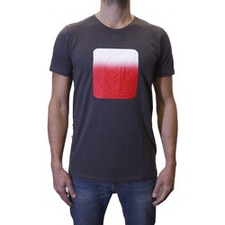 Vêtements Homme T-shirts manches courtes Cerruti 1881 Nago Gris