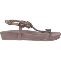 Chaussures Femme Sandales et Nu-pieds Salamander 32-51403 Sandales Violet