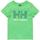 Vêtements Garçon T-shirts courtes manches courtes Helly Hansen  Vert