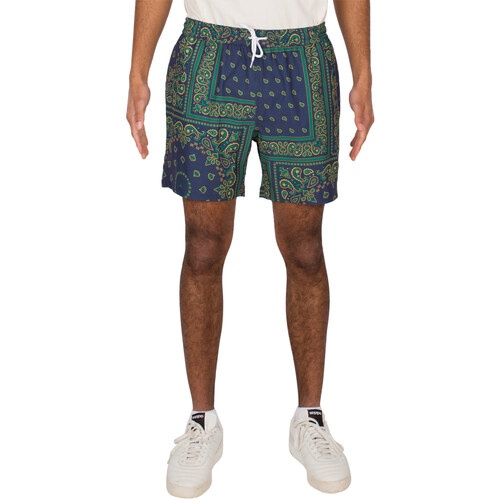 Vêtements Homme Shorts / Bermudas Iriedaily Short  Crazy Fresh Bleu
