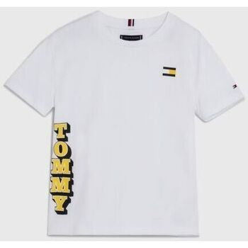 Vêtements Garçon Tommy Hilfiger Junior embroidered-logo T-shirt Tommy Hilfiger KB0KB08217 FUN LOGO-YBR WHITE Blanc