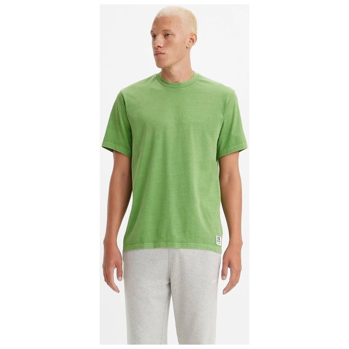 Vêtements Homme T-shirts & Polos Levi's A3757 0018 - GOLD TAB TEE-MEDIUM GREEN Vert