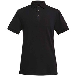 Vêtements Homme T-shirts & Polos Brook Taverner Hampton Noir