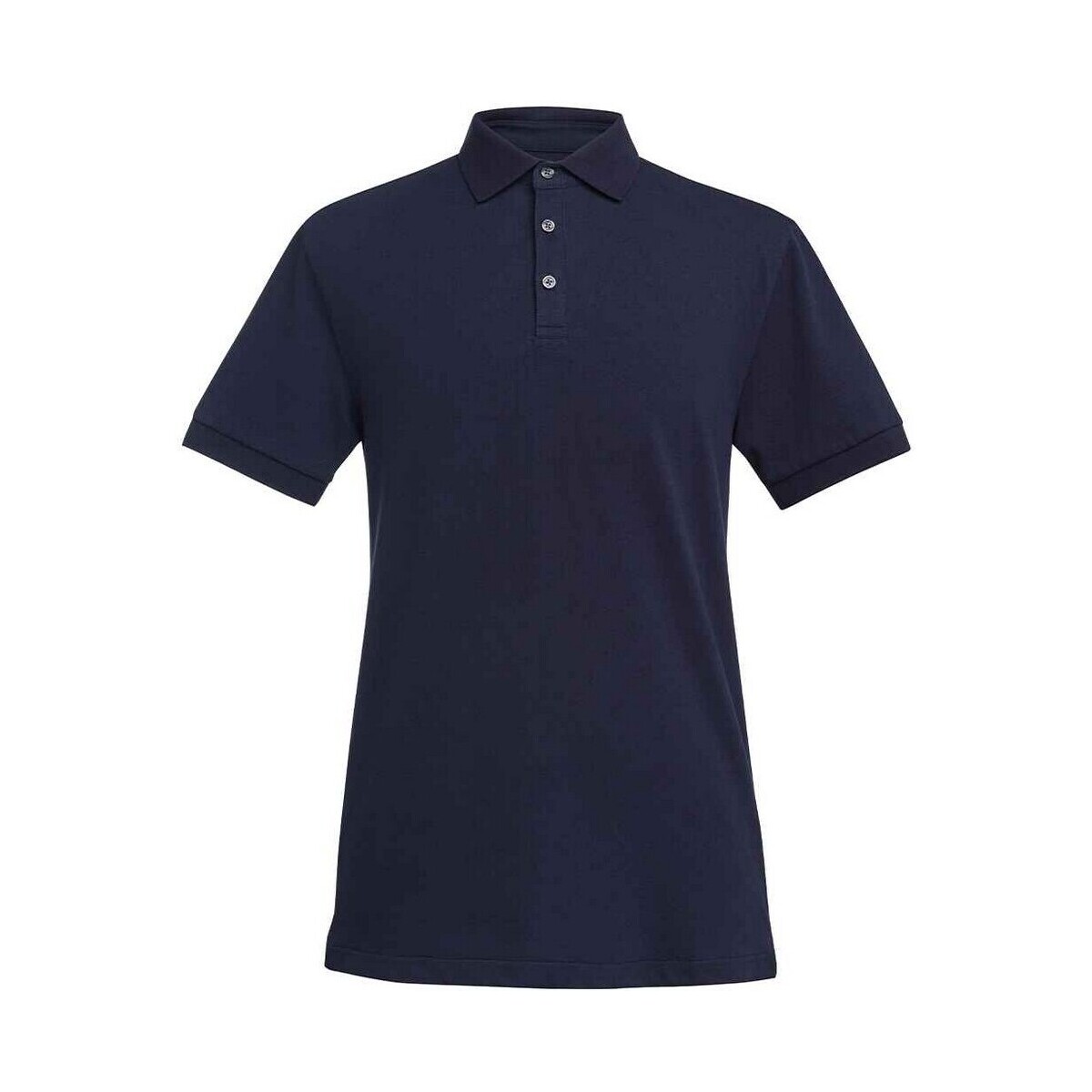 Vêtements Homme T-shirts & Polos Brook Taverner Hampton Bleu