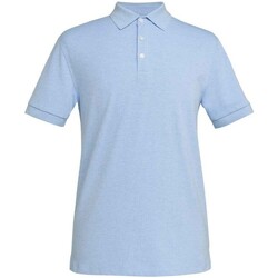 Vêtements Homme T-shirts & Polos Brook Taverner BK613 Bleu