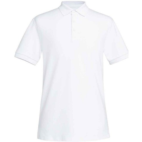 Vêtements Homme T-shirts & Polos Brook Taverner Hampton Blanc