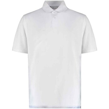 Vêtements Homme T-shirts & Polos Kustom Kit PC5249 Blanc