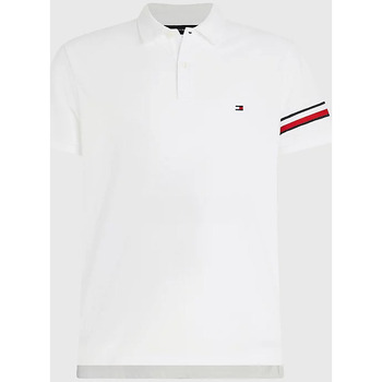 Vêtements Homme T-shirts & Polos Tommy Hilfiger MW0MW30767 Blanc
