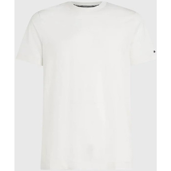 Vêtements Homme T-shirts & Polos Tommy Hilfiger MW0MW30044 Blanc