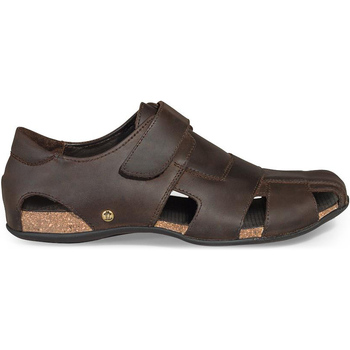 Chaussures Homme Plat : 0 cm Panama Jack SANDALE  FLETCHER BASICS Marron