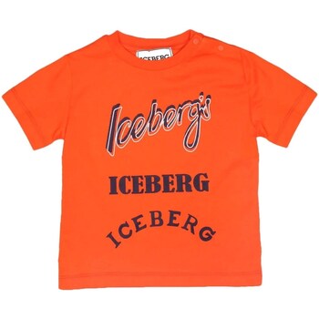 Vêtements Femme T-shirts manches courtes Iceberg TSICE3122B Autres