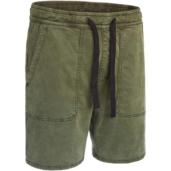 Vêtements Homme Shorts / Bermudas Pullin Short  DENING SHORT BEACH GARDEN Vert