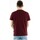 Vêtements Homme T-shirts manches courtes Schott tslogocasual Rouge