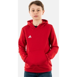 Vêtements Garçon Sweats adidas Originals h57566 Rouge