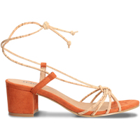 Chaussures Femme Sandales et Nu-pieds Nae Vegan glideride Shoes Holly_Orange Orange