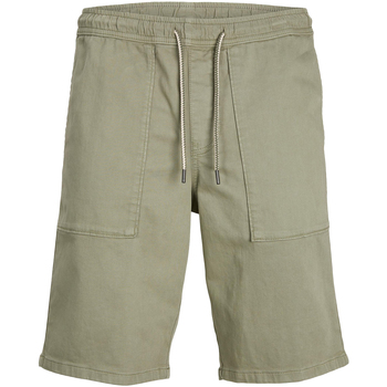 Vêtements Homme Shorts DRESS / Bermudas Jack & Jones Short coton droit LEWIS Kaki