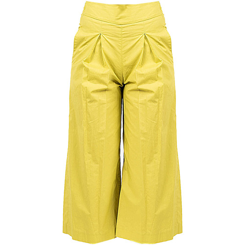 Vêtements Femme Pantalons Pinko 1G161E Y6VX | Teso 4 Vert