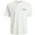 Vêtements Homme T-shirts manches courtes Jack & Jones 146755VTPE23 Blanc