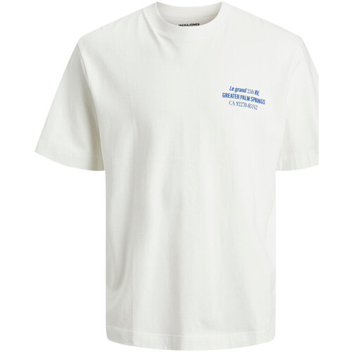 Vêtements Homme T-shirts manches courtes Jack & Jones 146755VTPE23 Blanc