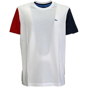 Vêtements Homme T-shirts & Polos Harmont & Blaine IRJ210021236 Blanc