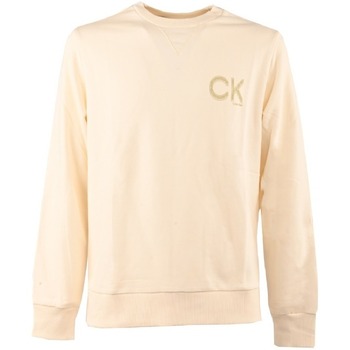 Vêtements Homme Sweats Calvin Klein Jeans K10K110750 Beige
