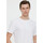 Vêtements Homme T-shirts manches courtes Lee Cooper T-shirt exotic AZZO MC Optic white Blanc