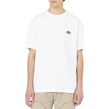 Vêtements Homme T-shirts manches courtes Dickies DK0A4YAIWHX1 Blanc
