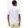 Vêtements Homme T-shirts & Polos Dickies MAPLETON TEE SS 0A4XDB-WHX WHITE Blanc