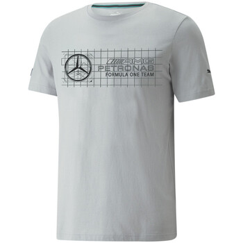 Vêtements Homme T-shirts enmbroidered-logo & Polos Puma 533693-02 Gris