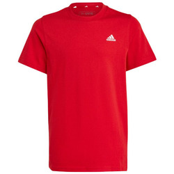 Vêtements Garçon T-shirts manches courtes adidas Originals TEE-SHIRT JUNIOR - BETSCA WHITE - 9/10 ans Multicolore